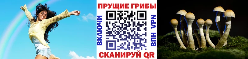 Псилоцибиновые грибы GOLDEN TEACHER  Нея 